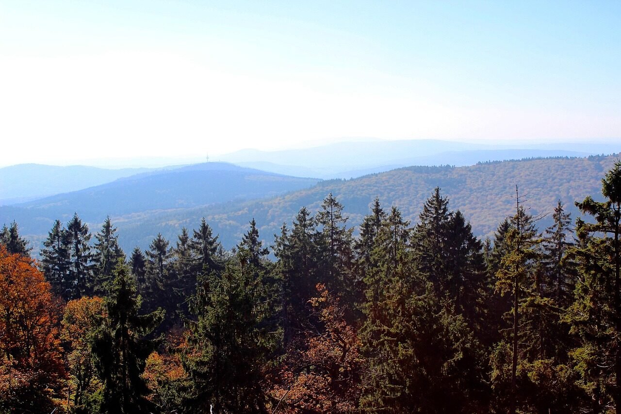 taunus, mountains, fall, nature, forest, autumn mood, landscape, trees